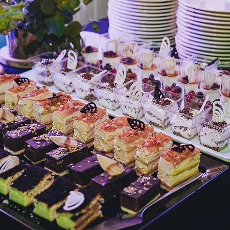 Palac Zdunowo Aparthotel